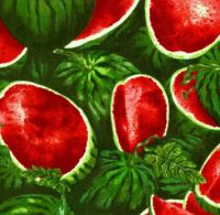 Paintbrush Studios Patchworkstoffe: Farmer's John Marketplace - Wassermelone