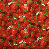Food Festival Erdbeeren